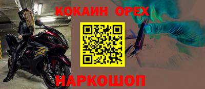 ECSTASY Гатчина