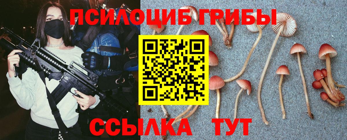 Псилоцибиновые грибы Magic Shrooms  Полысаево  Псилоцибиновые грибы мицелий 