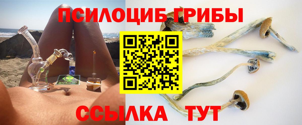 как найти наркотики  Галлюциногенные грибы прущие грибы  Вход с VPN  Полысаево  Псилоцибиновые грибы Psilocybe 